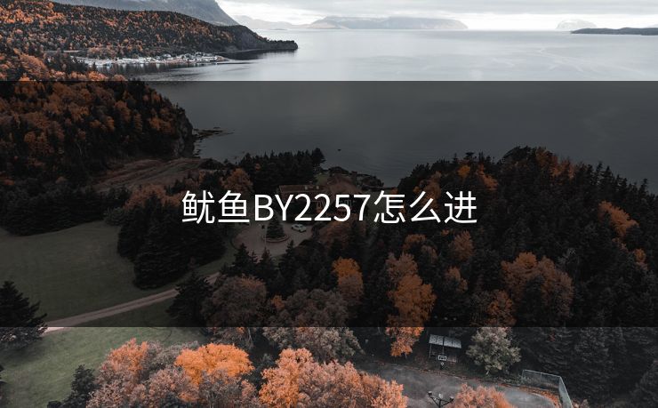 鱿鱼BY2257怎么进