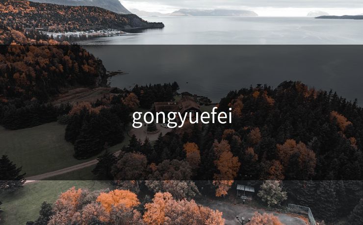 gongyuefei gongyuefei
