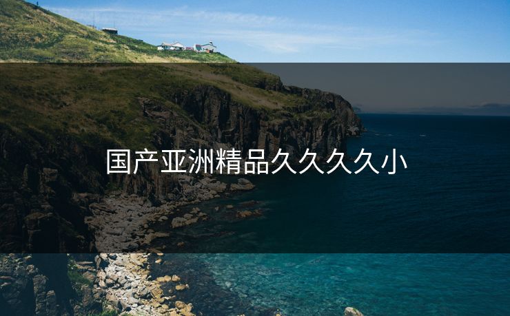 国产亚洲精品久久久久小