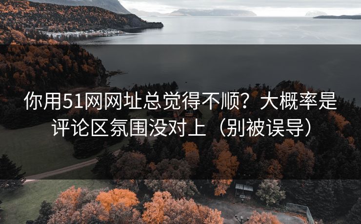 你用51网网址总觉得不顺？大概率是评论区氛围没对上（别被误导）